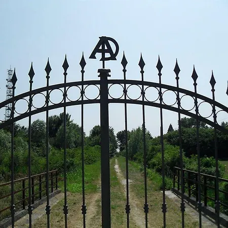 Dartora