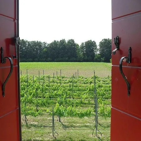 Farm stay Dartora Sambruson