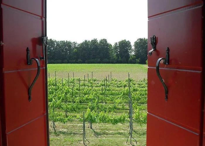 Çiftlik konaklama Dartora Sambruson