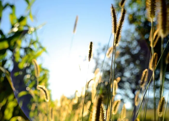 Dartora Çiftlik konaklama