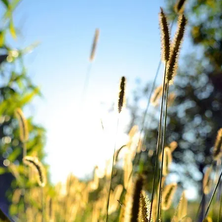 Dartora Alloggio per agriturismo