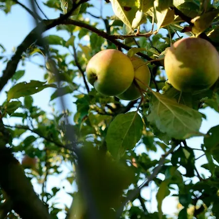 Dartora Séjour à la ferme